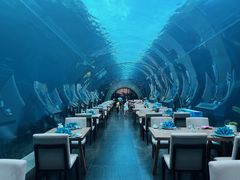 -涛·海底餐厅·美人鱼·自助餐·海底隧道(三亚海棠湾洲际度假酒店)