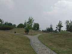 -桂溪生态公园