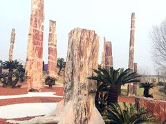 -南通洲际绿博园