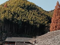 -林坑古村落