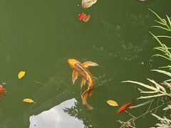-龙潭水乡