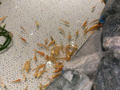 -大和洗浴休闲会所
