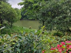-海珠湖公园