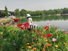 -升仙湖公园