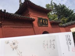 -洛阳白马寺