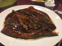红烧划水-旭龙鱼头王(航华店)