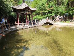 -王顺山国家森林公园