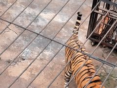 -南昌动物园