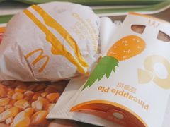 -麦当劳(塔园路店)