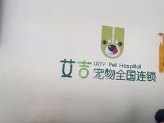 -艾吉宠物医院·疑难杂症转诊中心·猫友好(碧江路院)