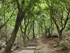 -红崖峡谷景区