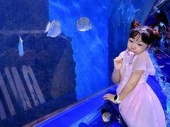 -重庆欢乐海底世界