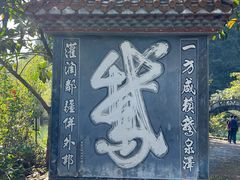 -靖西鹅泉风景区