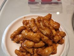 -海派美食·家宴海鲜青岛菜·石锅鲽鱼头(东方城店)