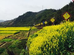 -绩溪龙川景区