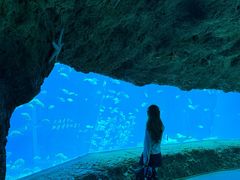-南昌融创海世界