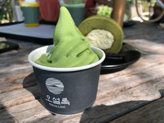 -雪绿茶博物馆