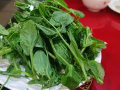 -四川简阳羊肉汤火锅(望花路西里店)