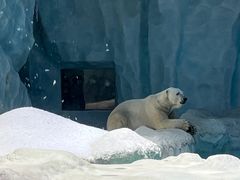 -珠海长隆海洋王国