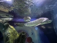 -常州海昌海洋探索馆