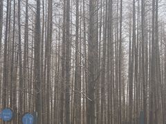 -上海怡沁园度假酒店