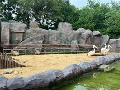 -沈阳森林动物园