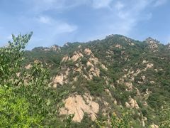 -大岭沟猕猴桃谷风景区