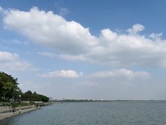 -贡湖湾湿地公园