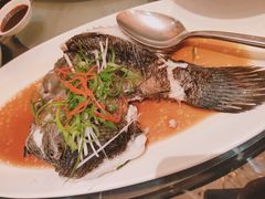 广式笋壳鱼-天宁凯利时尚餐厅