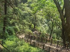 -陕西省红河谷森林公园