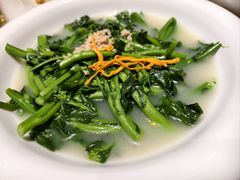 -大树头森林餐厅