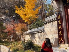 -崂山仰口游览区