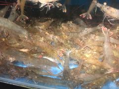 -小城故事·地道宁波味(月湖盛园店)