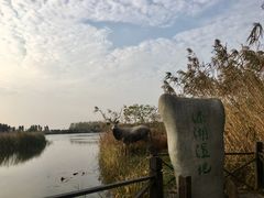-溱湖国家湿地公园