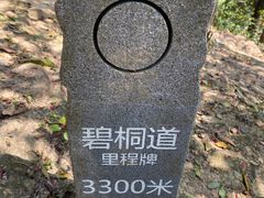 -梧桐山风景名胜区