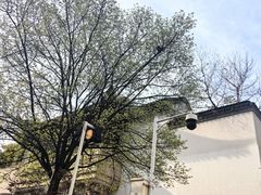 -江宁织造博物馆