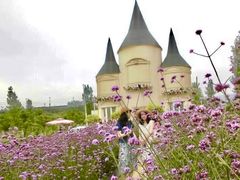 -紫颐香薰山谷景区