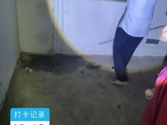 -索菲亚衣柜橱柜全屋定制(真北红星店)