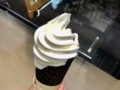 芝芝雪糕-喜茶(广州中山六路店)