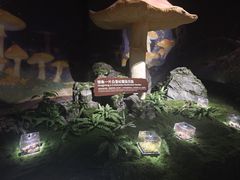 -厦门诚毅自然探索馆