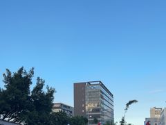 -鲤鱼塘农家山庄