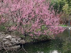 景点-静安雕塑公园