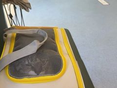 -顺强宠物诊所·狂犬免疫·夜诊·骨科(嘉定店)