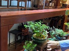 -双季花艺园艺市场(浦东店)