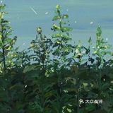 小清新油画