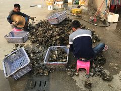 -蚝专家(北滘店)