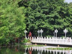 -荔枝公园(福田区)