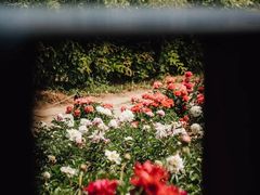-国家植物园