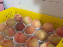 -老袁家蜜桃农场·阳山水蜜桃