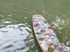 -同里国家湿地公园